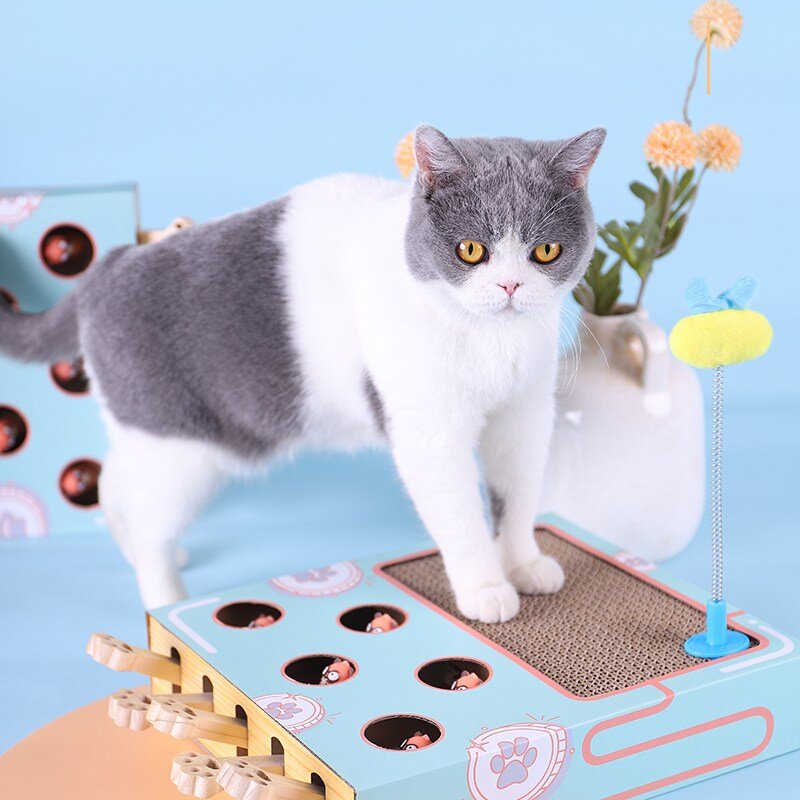 펫츠몬 고양이 두더지잡기 스크래처 장난감, 혼합색상, 1개