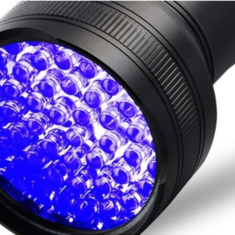 딩동펫 반려동물 UV 배변자국 후레쉬, BLACK, 1개