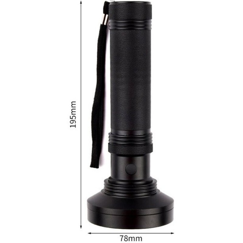 딩동펫 반려동물 UV 배변자국 후레쉬, BLACK, 1개