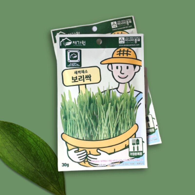 보리싹 캣그라스 30g, 1개, 보리