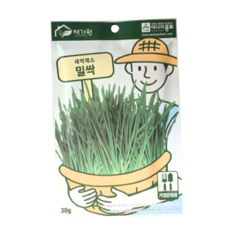 밀싹 캣그라스 30g, 2개, 밀