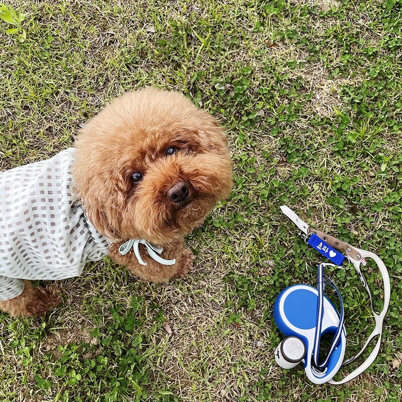 [주문제작]유어스랩 애완견 맞춤 주문제작 네임택 선물 인식표 중간리드줄 강아지 고양이 이름표, 검정, 문구 추가, 노랑, 1개