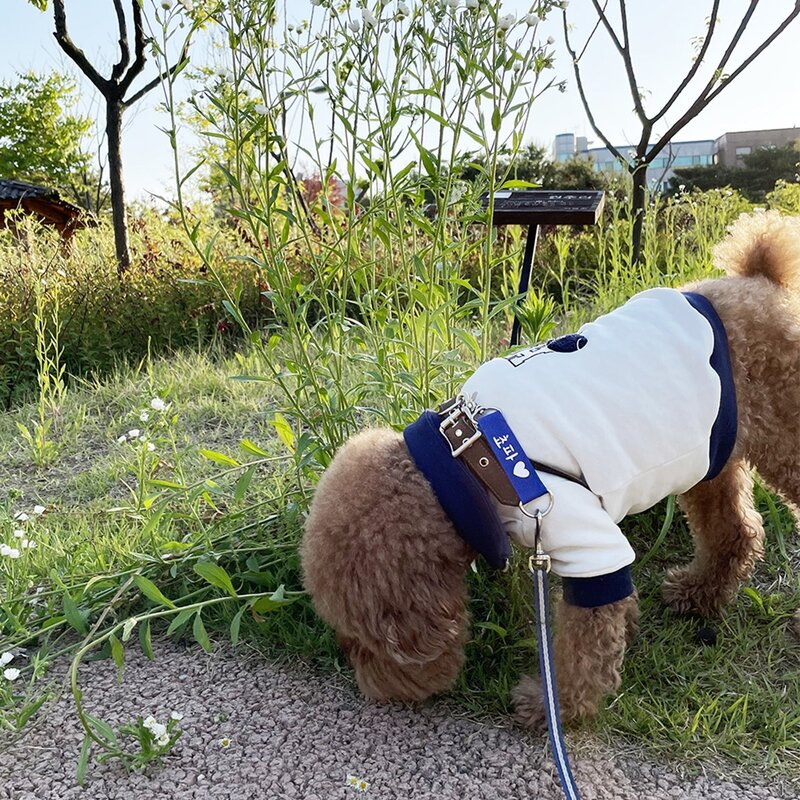 [주문제작]유어스랩 애완견 맞춤 주문제작 네임택 선물 인식표 중간리드줄 강아지 고양이 이름표, 검정, 문구 추가, 노랑, 1개