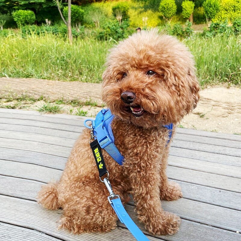 [주문제작]유어스랩 애완견 맞춤 주문제작 네임택 선물 인식표 중간리드줄 강아지 고양이 이름표, 검정, 문구 추가, 노랑, 1개