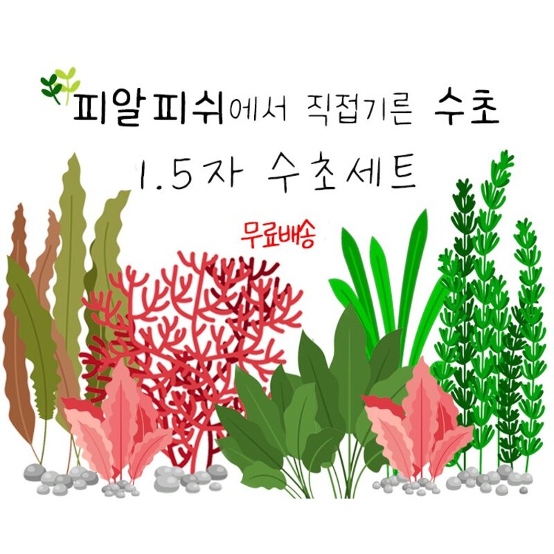 피알피쉬 1.5자 수초세트, 1세트