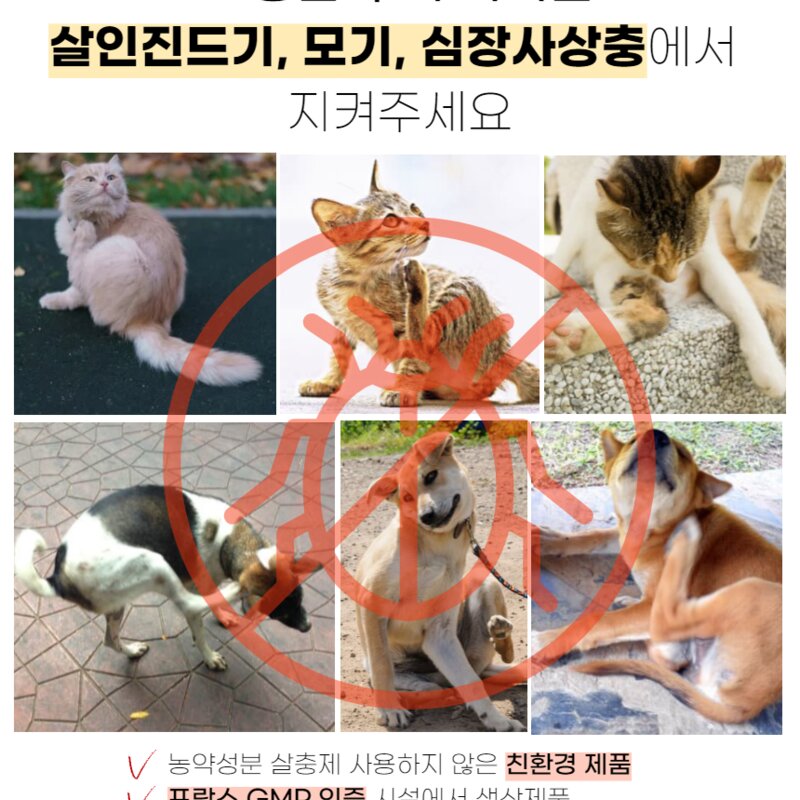 고양이귀진드기 모기 사상충약 제거 목걸이 외부기생충 퇴치제 키튼, 1개