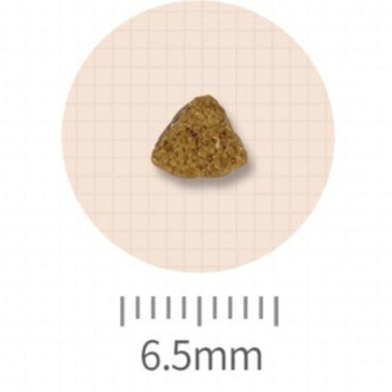 프로베스트 전연령용 캣 화이트 건식사료, 오리, 10kg, 1개