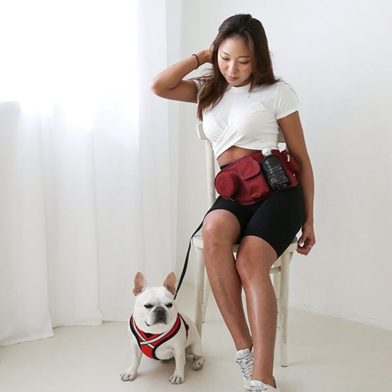 RealPet 포인원 강아지 산책 힙색