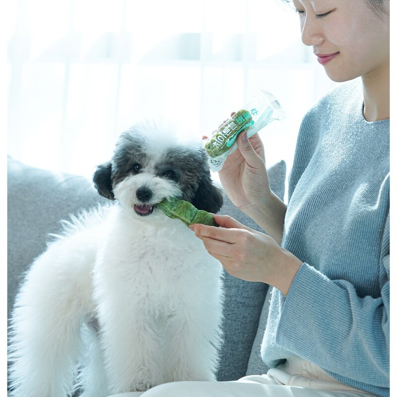 펫쉴드 치아튼튼 버블츄, 치석제거, 150g, 2팩