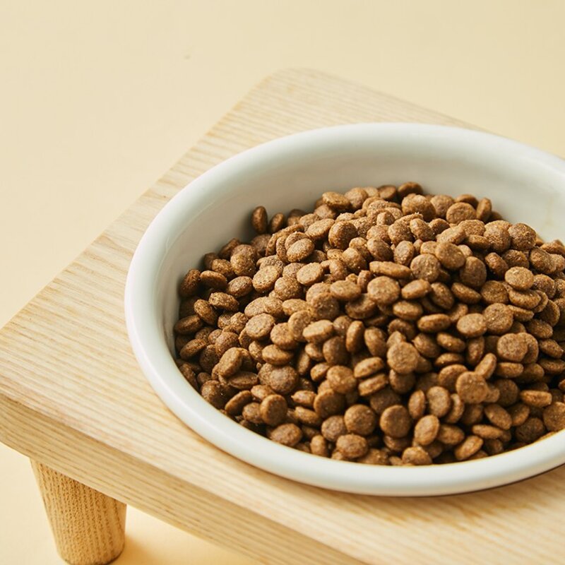 탐사 프리미엄 뉴트리션 도그 푸드 강아지 사료, 치킨, 1개, 3kg