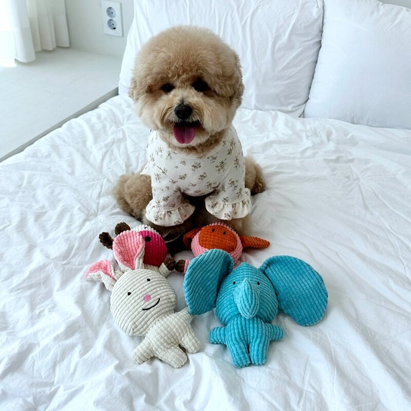 반려견 강아지 터그놀이 캐릭터 삑삑이 세트, 1팩