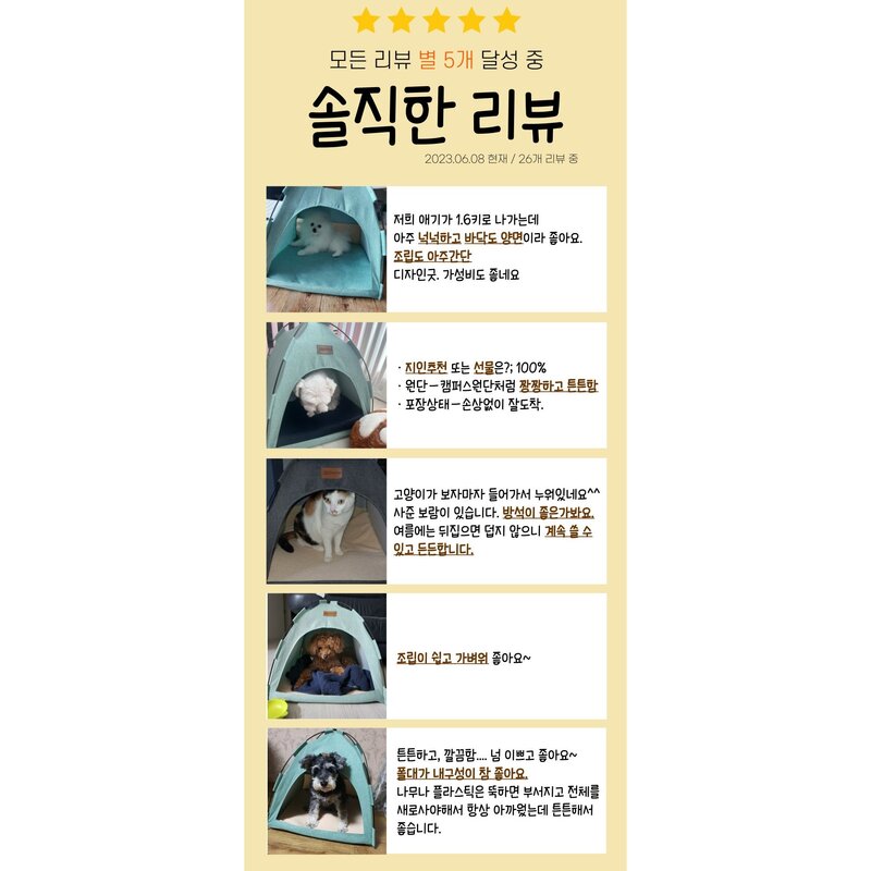 생활로켓단 댕냥이 사계절 텐트 하우스 + 방석, 민트, 1개