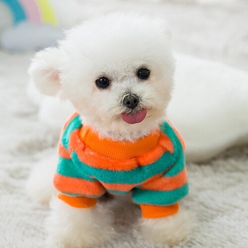 강아지 고양이 옷 따듯한 극세사 부드러운 기모 티셔츠 실내복 수면옷, 블루, 1개