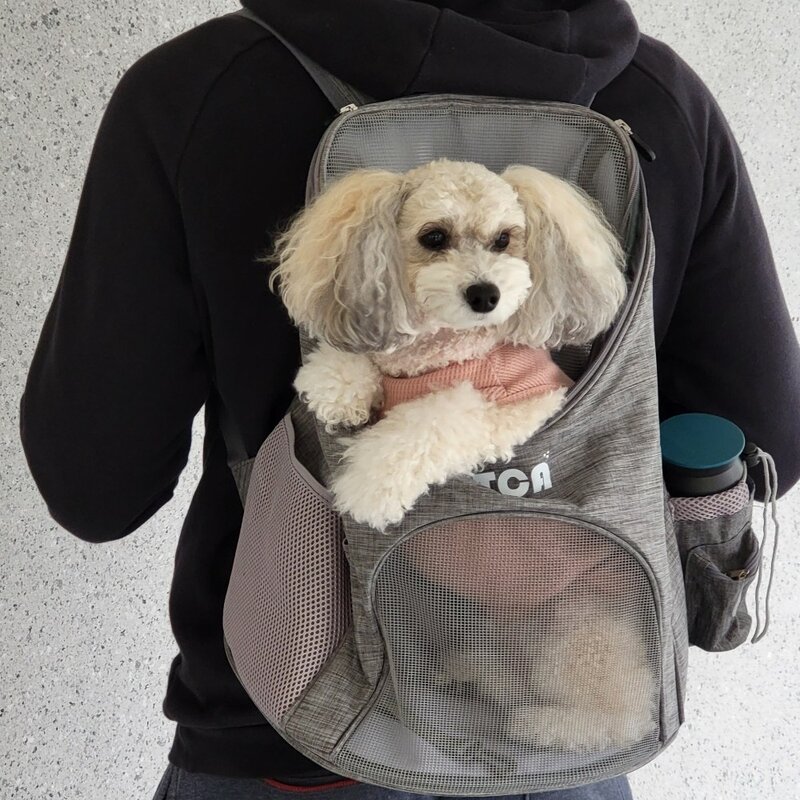 펫카 반려견 강아지 백팩 이동가방, 그레이, 1개