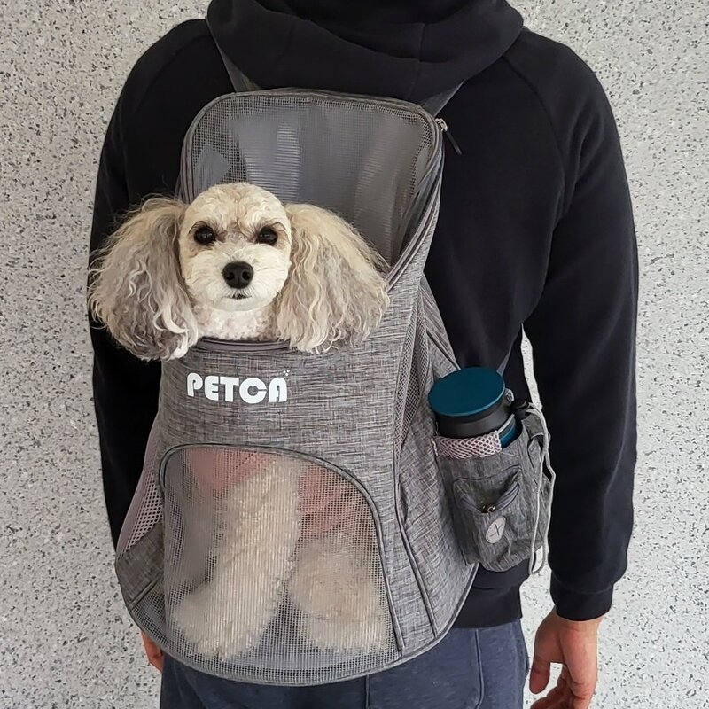 펫카 반려견 강아지 백팩 이동가방, 그레이, 1개