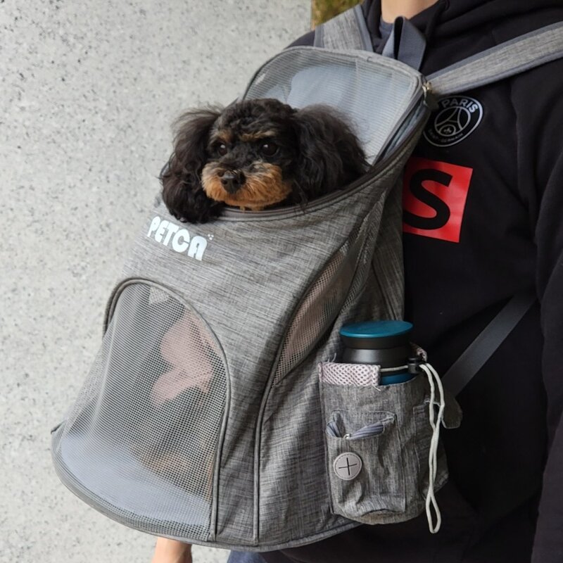 펫카 반려견 강아지 백팩 이동가방, 그레이, 1개