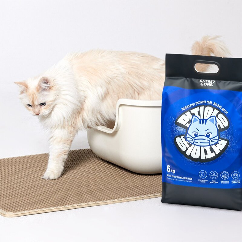 쉬즈곤 응고형 먼지아웃 벤토나이트 고양이 모래, 6kg, 3개