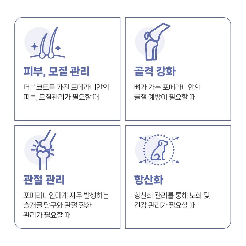 유한양행 레시피브이 포메라니안 강아지 견종별 사료, 피부/피모, 1.2kg, 1개