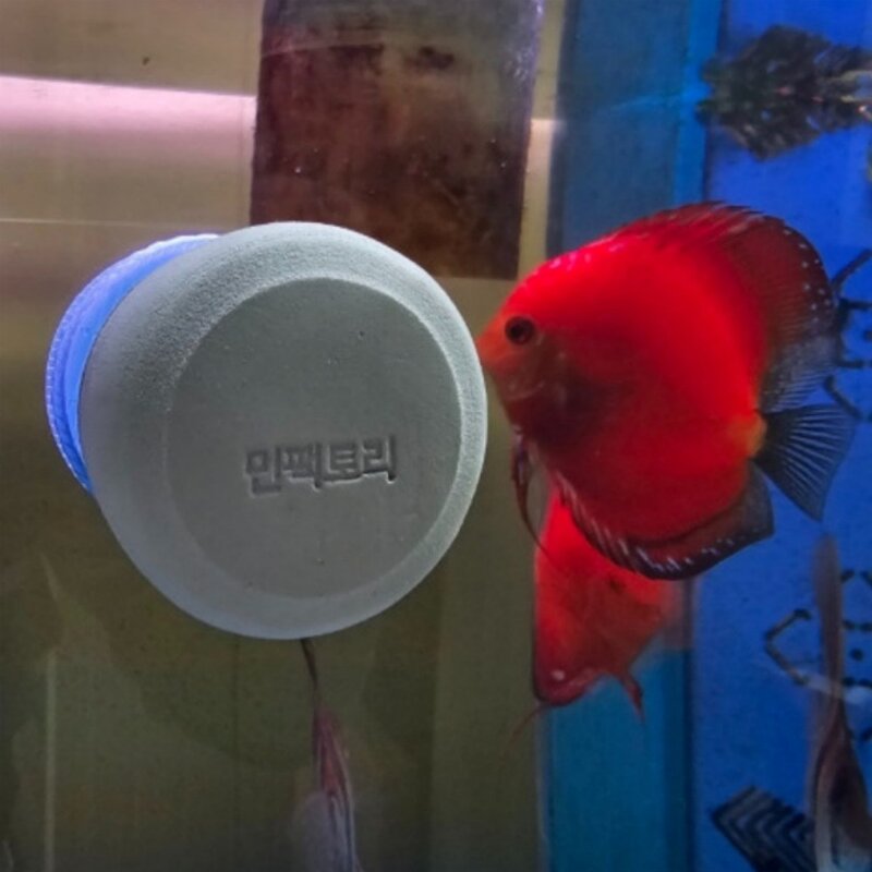 민팩토리 자석청소기 어항 이끼 모서리 실리콘 물때청소 스크레퍼 수족관 수초 청소 네오디움자석 이끼강자 10 T사용, 1개