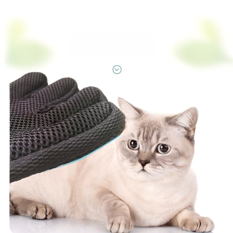 디엠스쿱 강아지 고양이 털제거 장갑, 블루, 1개