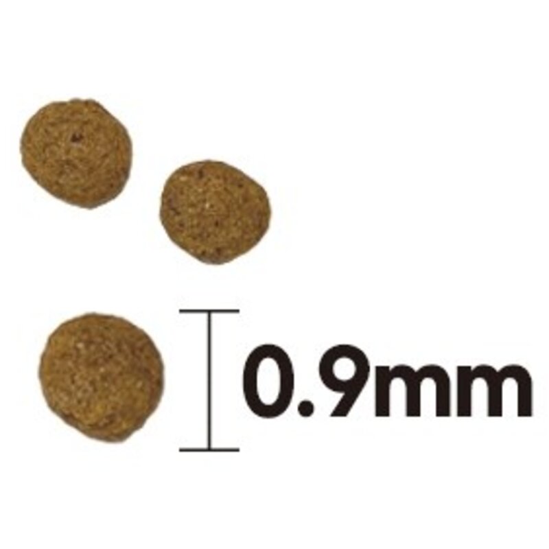 사조동아원 반려동물 전연령용 케어독 올라이프 건식사료, 닭, 10kg, 2개