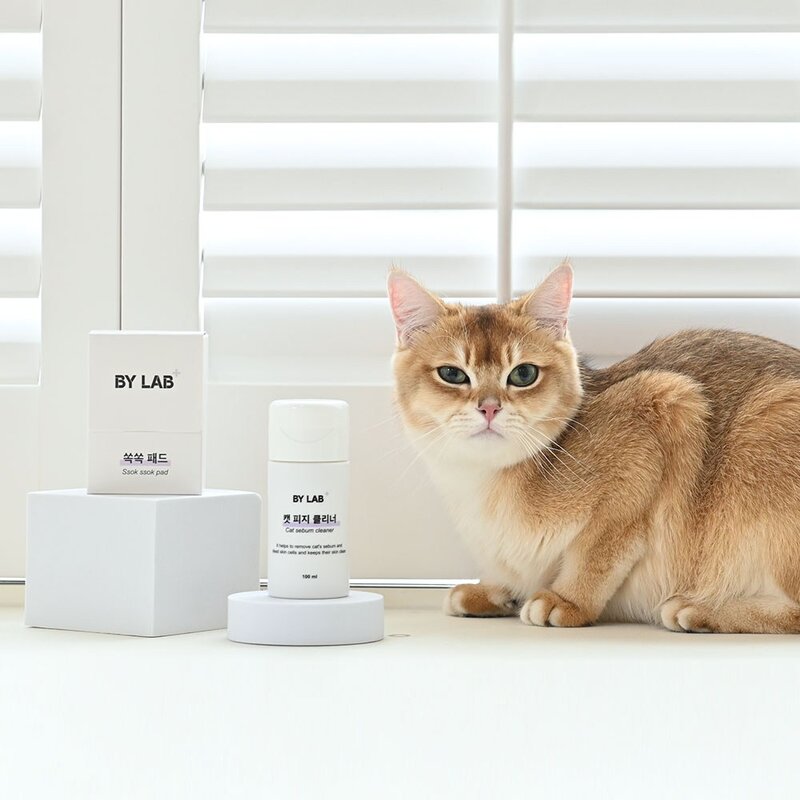 바이랩 캣피지클리너 고양이 턱드름 제거 블랙헤드 여드름 관리 티슈 세정제, 100ml, 1개
