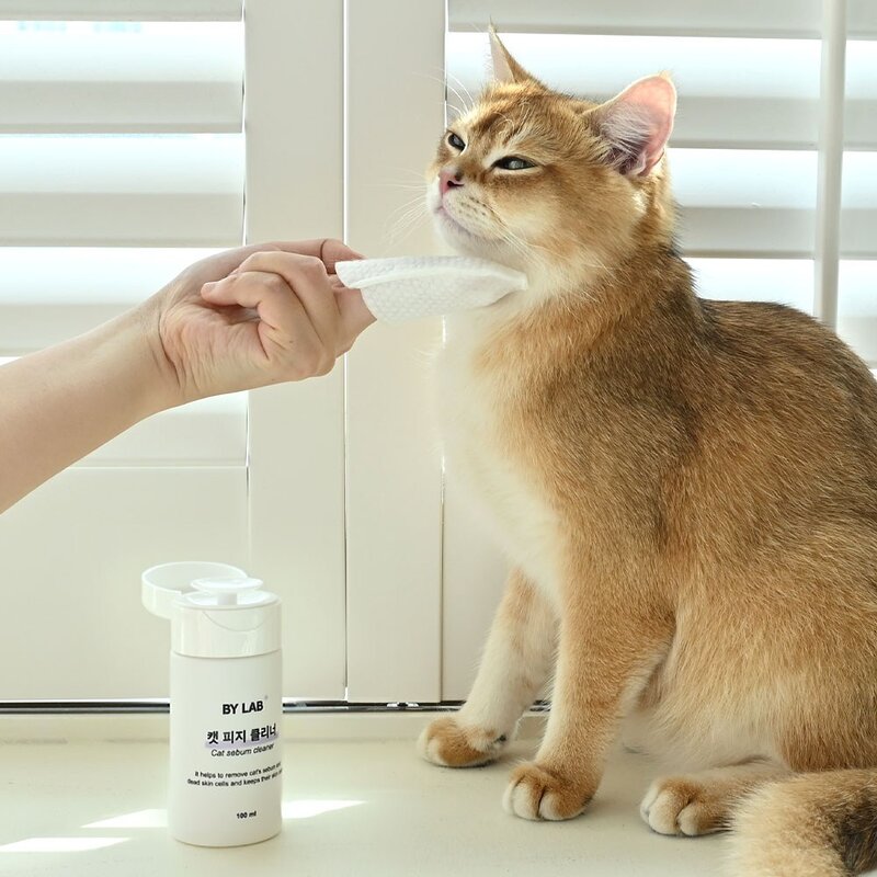 바이랩 캣피지클리너 고양이 턱드름 제거 블랙헤드 여드름 관리 티슈 세정제, 100ml, 1개