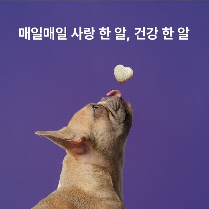 닥터벳 하트츄 헤모 강아지 고양이 철분제 맛있게 씹어먹는 철분 영양제, 1개, 혈액순환