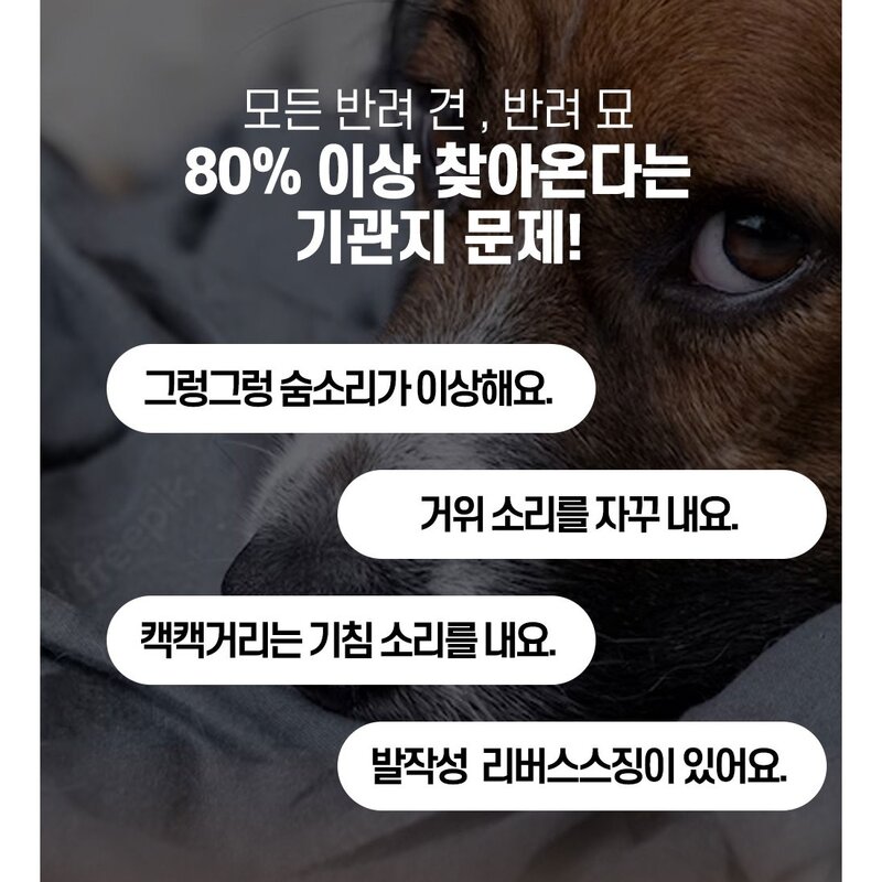 한국바이오펫 강아지 브레스 기도협착 호흡기 보조제, 1통