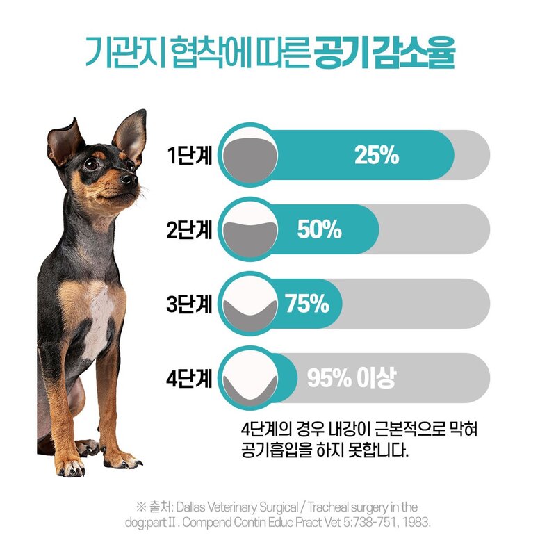 한국바이오펫 강아지 브레스 기도협착 호흡기 보조제, 1통