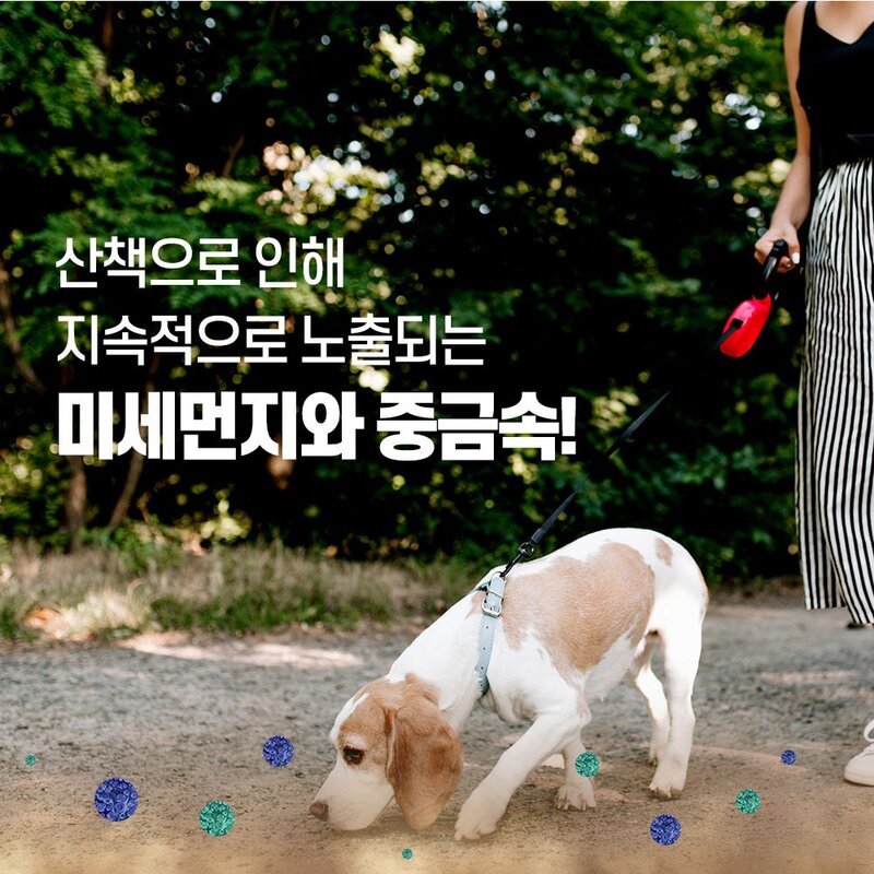한국바이오펫 강아지 브레스 기도협착 호흡기 보조제, 1통