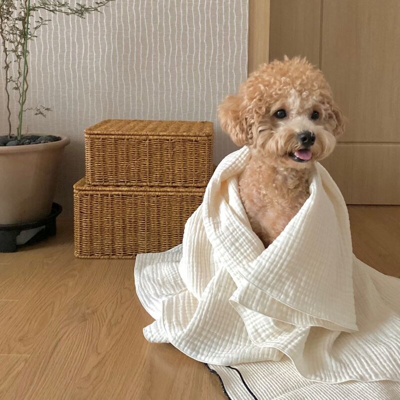 강아지이불 애견 펫 켄넬담요 거즈블랭킷, 샌드베이지, 1개