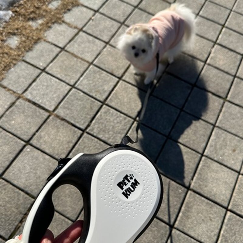 페키움 자동리드줄 강아지 산책줄 목줄, 페키움 화이트 블랙, 1개