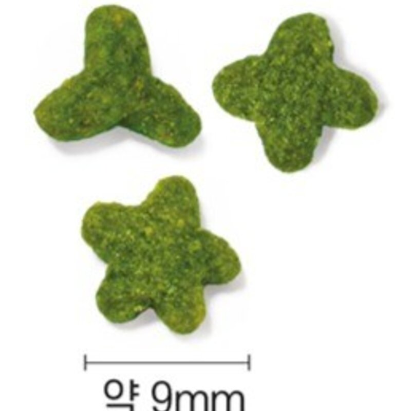 캣템 스피루리나 덴탈 고양이 간식, 치킨, 500g, 1개