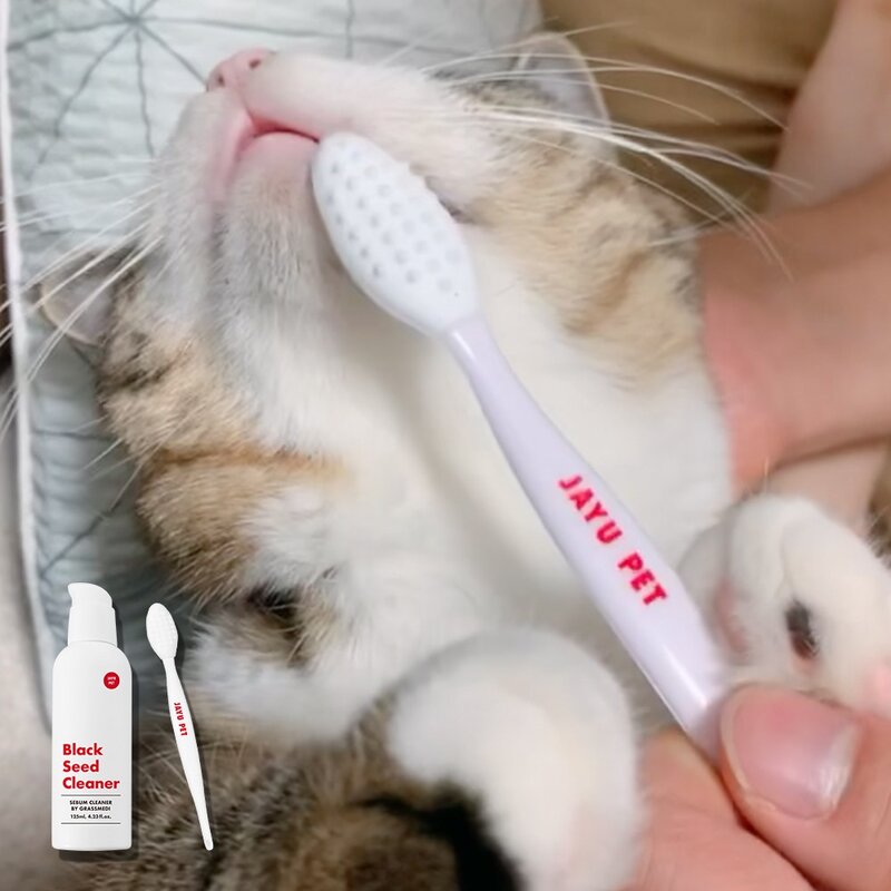 자유펫 턱드름키트 고양이 턱드름 꼬드름 블랙헤드 피지 제거, 1세트