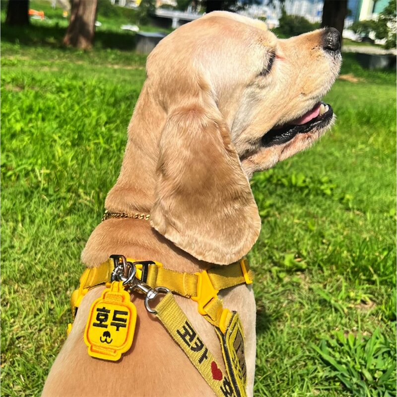 네임포네임 강아지 고양이 인식표 이름표 목걸이 댕고택, 펭귄택, 애플 민트