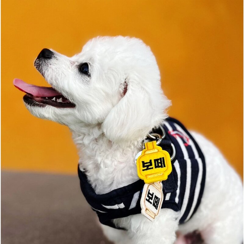 네임포네임 강아지 고양이 인식표 이름표 목걸이 댕고택, 펭귄택, 애플 민트