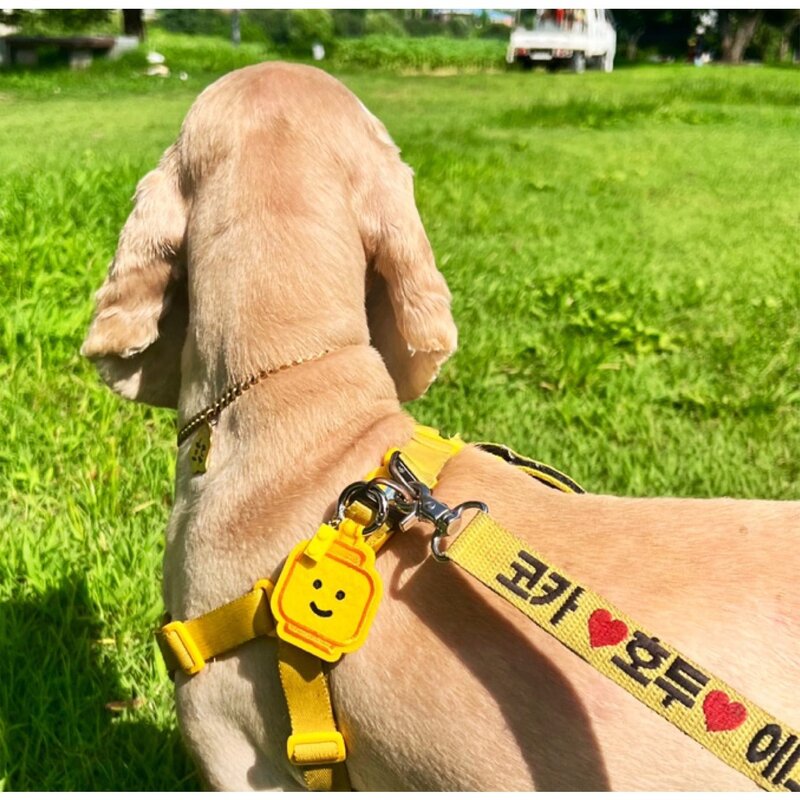 네임포네임 강아지 고양이 인식표 이름표 목걸이 댕고택, 펭귄택, 애플 민트
