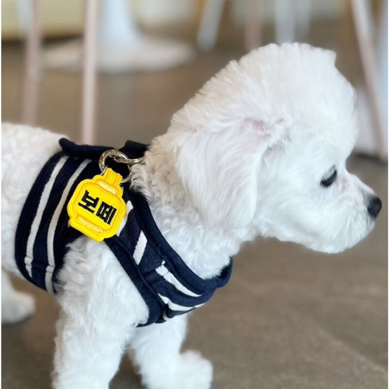 네임포네임 강아지 고양이 인식표 이름표 목걸이 댕고택, 펭귄택, 애플 민트