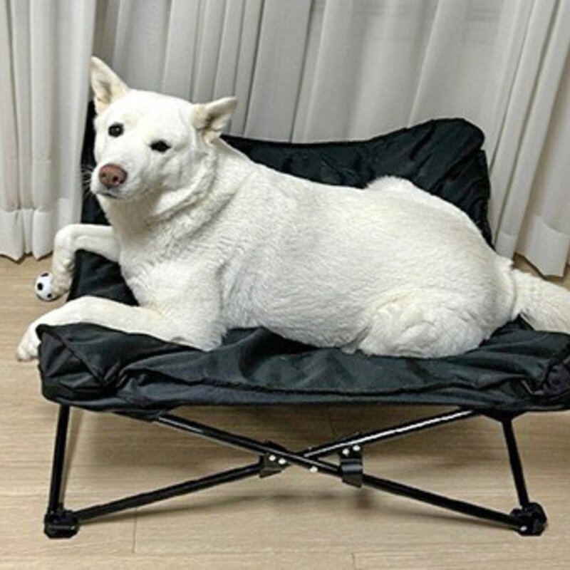 브리즈문 강아지 의자 해먹 캠핑 쇼파 침대 L, 브라운, 1개