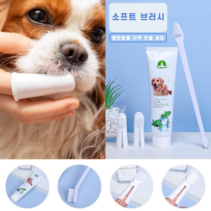 강아지치약치솔세트 애견치약 칫솔 정증 소고기 민트향, 1개