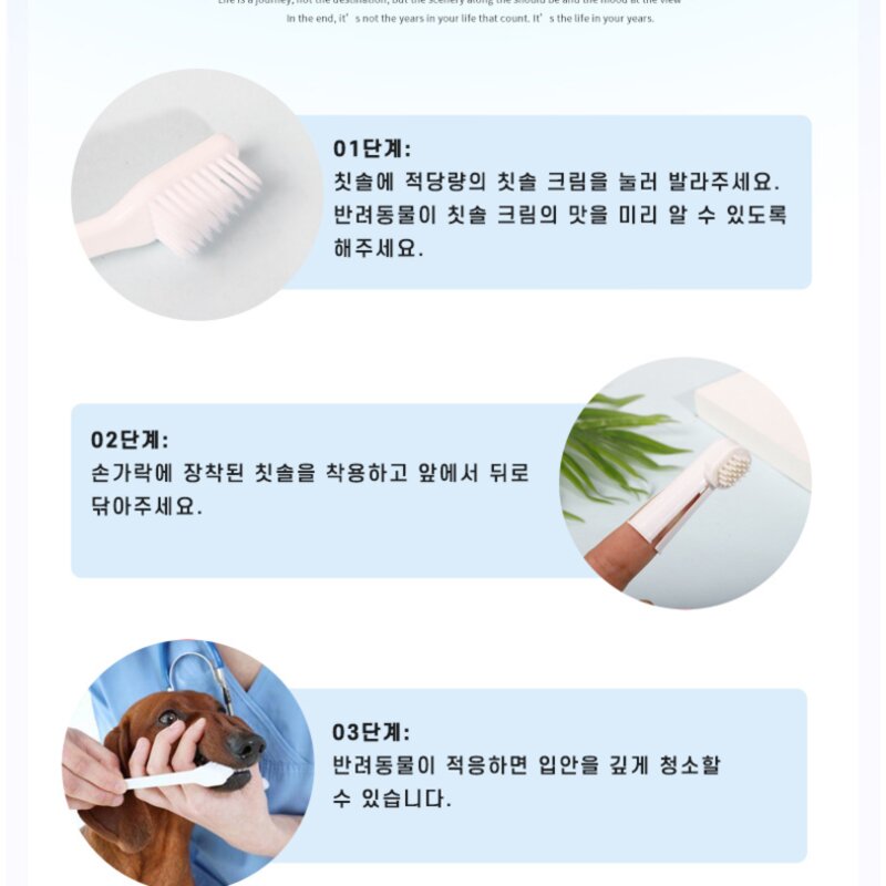 강아지치약치솔세트 애견치약 칫솔 정증 소고기 민트향, 1개