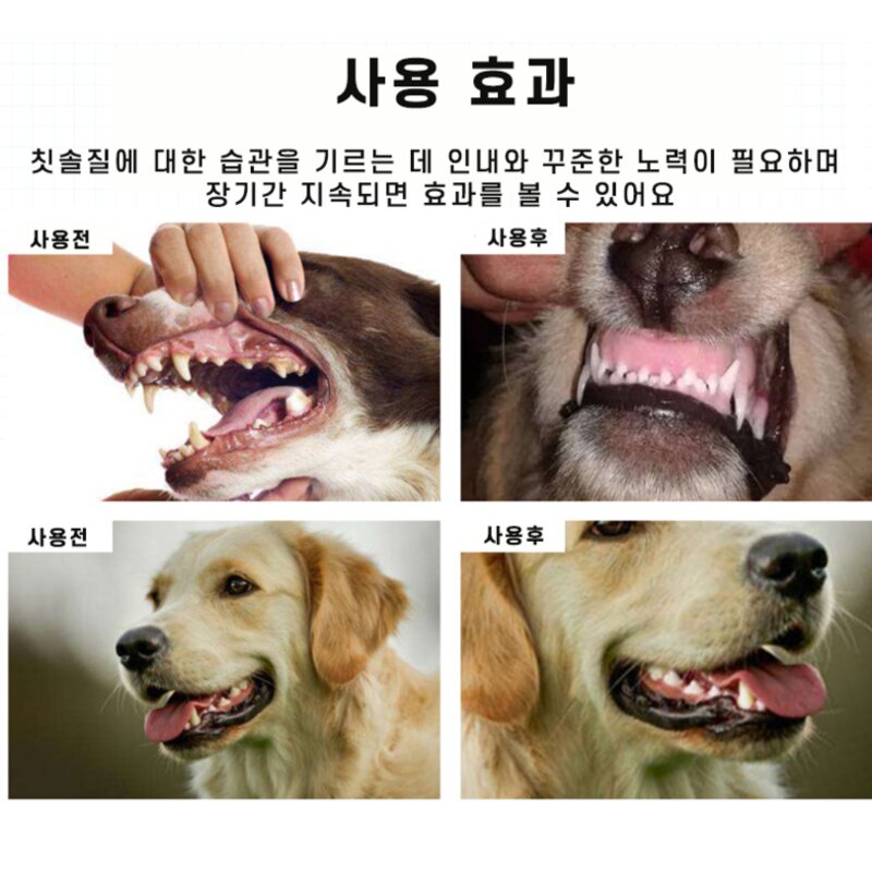 강아지치약치솔세트 애견치약 칫솔 정증 소고기 민트향, 1개