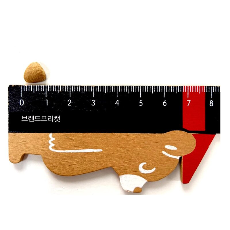 고양이사료 20kg 브프캣 길냥이사료대용량, 1개