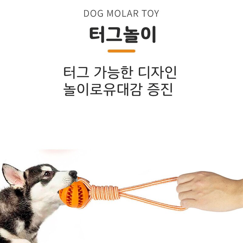 디스이즈마이펫 강아지 천연고무뼈 터그놀이 장난감 4종세트, 1개, 혼합
