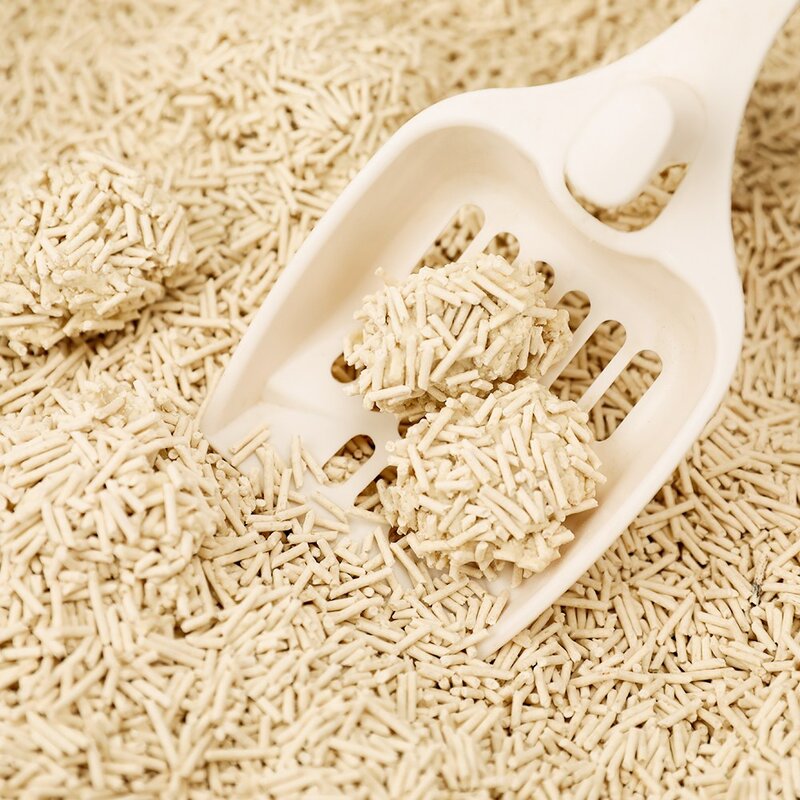 탐사 가는 입자 고양이 두부모래 2mm, 8L, 5팩, 오리지널
