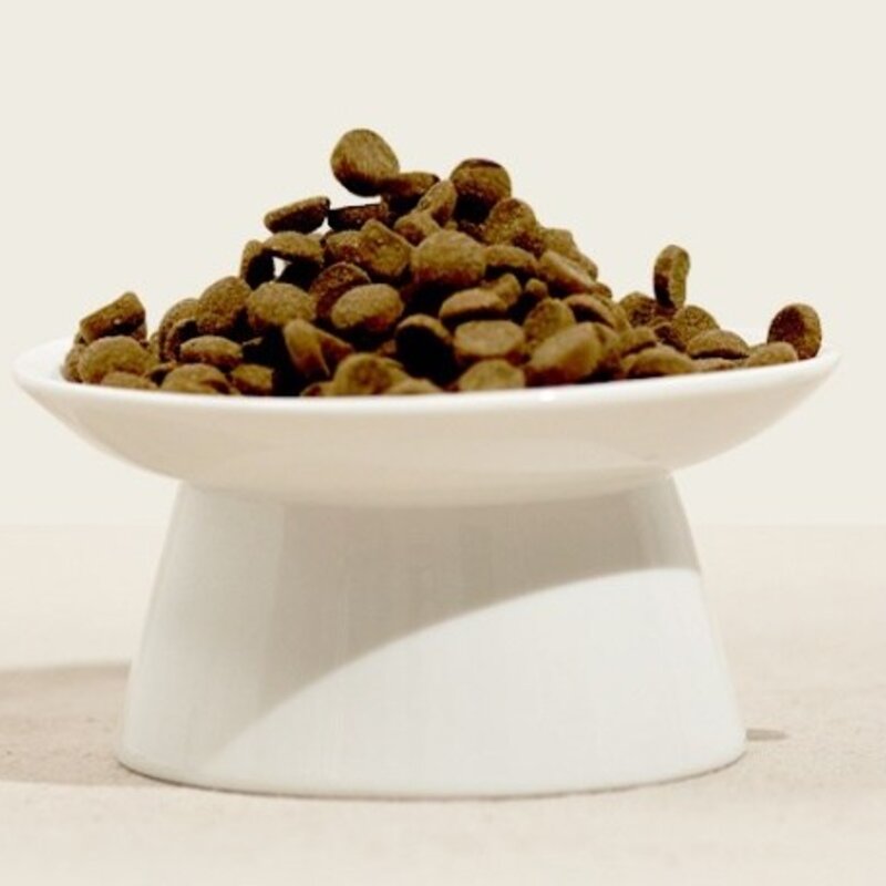 마이펫닥터 시그니처 인섹트더제로 피부알러지 강아지사료, 곤충, 1kg, 1개