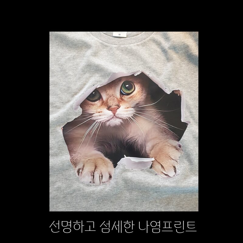 M/L/XL 남녀공용 고양이 반팔티 커플티 빅사이즈 우정티 반티 과티 단체티 남성복 여성복 티셔츠