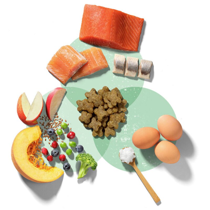 나우프레쉬 스몰브리드 어덜트 피쉬 레시피 건식사료, 기타생선, 2kg, 1개