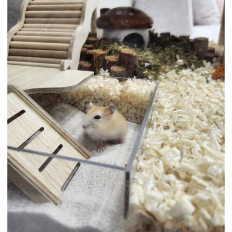 펫똑 먼지 없는 청정 호주 사막 목욕 모래 햄스터 저빌 친칠라 미니메추리, 1.2kg 1개, 1개, 1.2kg